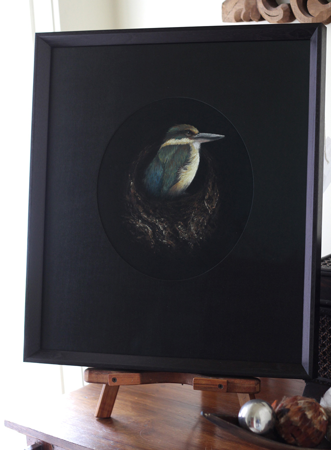 New Zealand Kingfisher painting framed