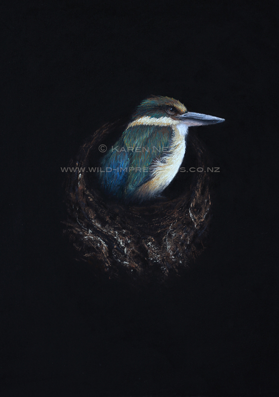 Kotare New Zealand Kingfisher pastel painting by wildlife artist Karen Neal