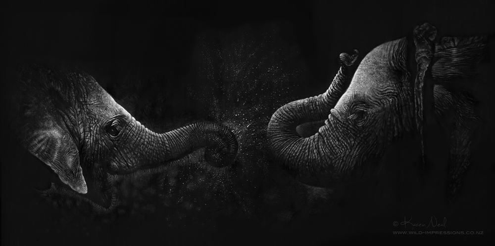 Elephant Scratchboard Artwork