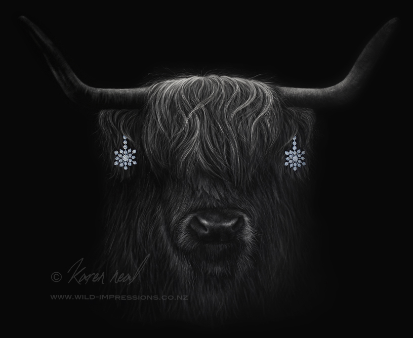 Highland cow scratchboard
