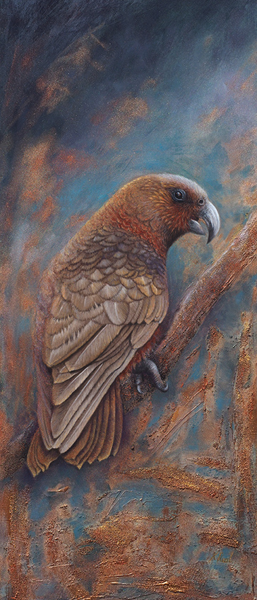 Kaka is our native forest bird Kaka native forest parrot bird artwork