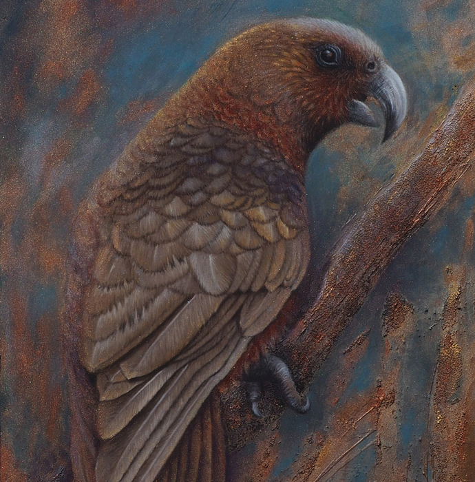 Closeup of Kaka artwork New Zealand Kaka