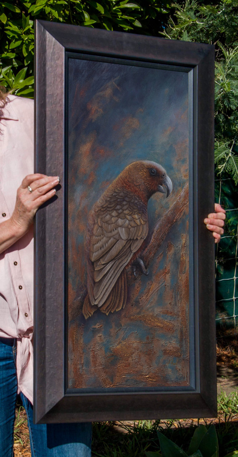 New Zealand Kaka Bird kaka new zealand forest parrot