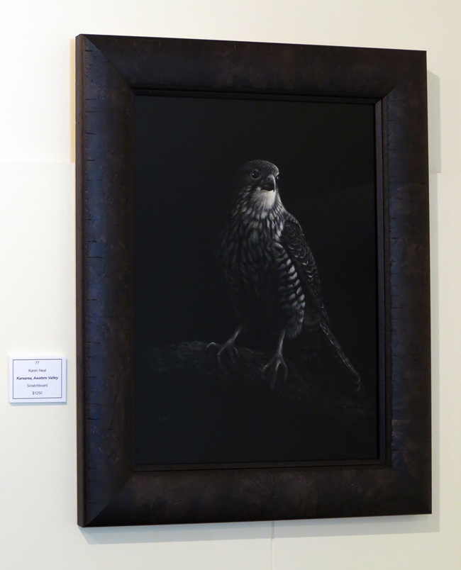 New Zealand Karearea Falcon artwork