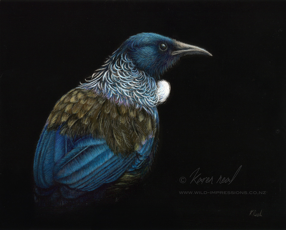 New Zealand Tui Painting by wiildlife artist Karen Neal