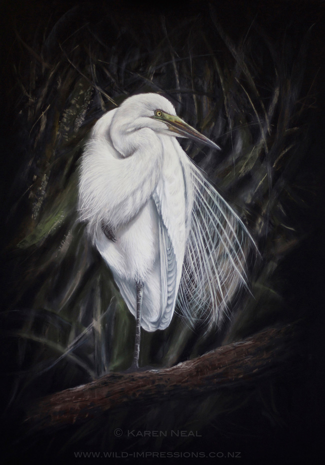 Okarito Kotuku white heron scratchboard art by New Zealand Wildlife Artist Karen Neal