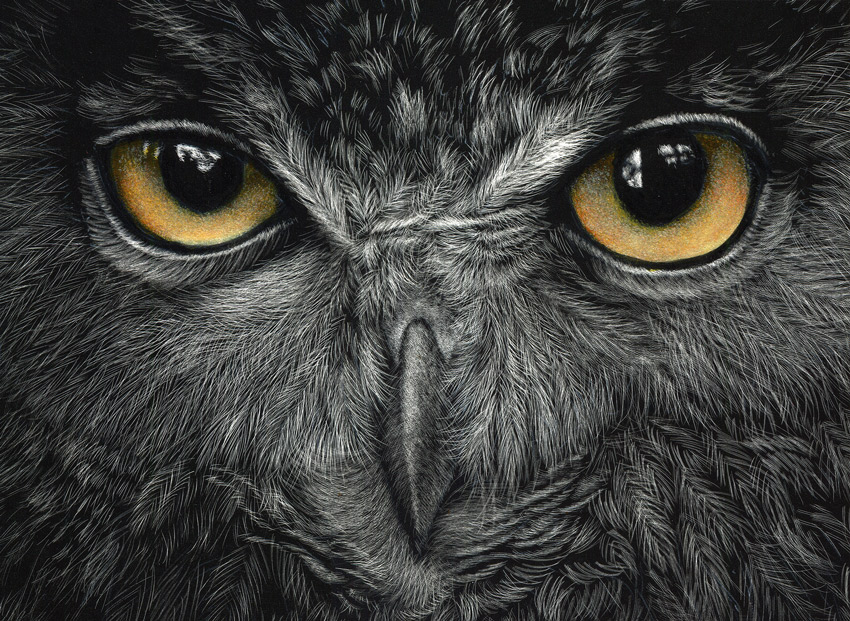 Owl Scratchboard Artwork
