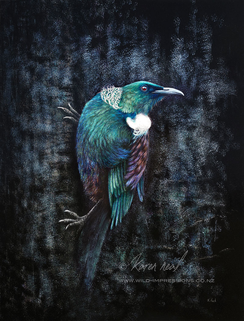 New Zealand Tui Painting