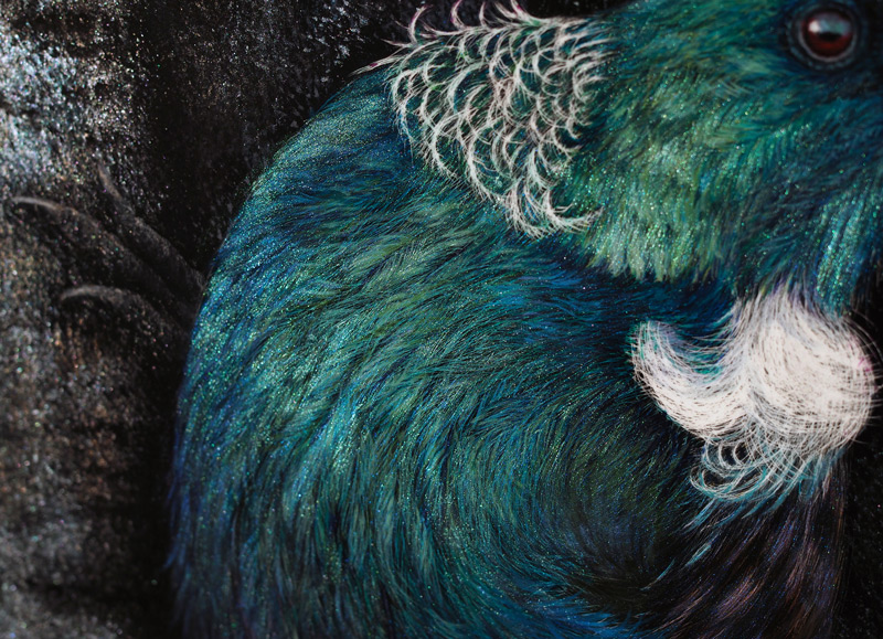 New Zealand Fantail Oil Painting by wildlife artist Karen Neal