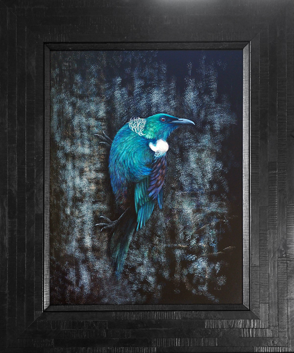 new zealand native tui bird