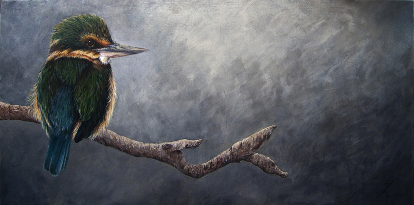 New Zealand kingfisher "Kotare" painting New Zealand kingfisher "Kotare" painting by wildlife artist Karen Neal