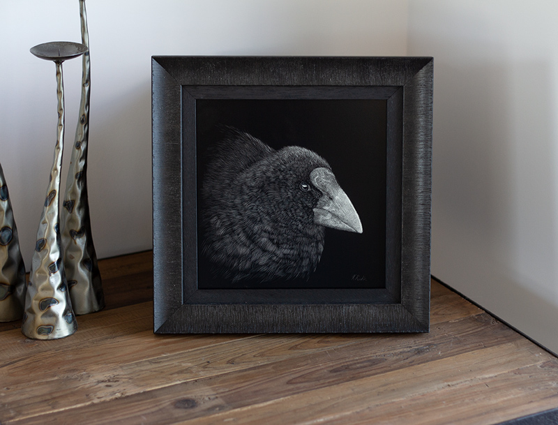 Tui Scratchboard framed Tui artwork framed