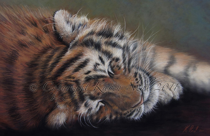 Amur tiger cub painting Amur tiger cub painting by New Zealand wildlife artist Karen Neal