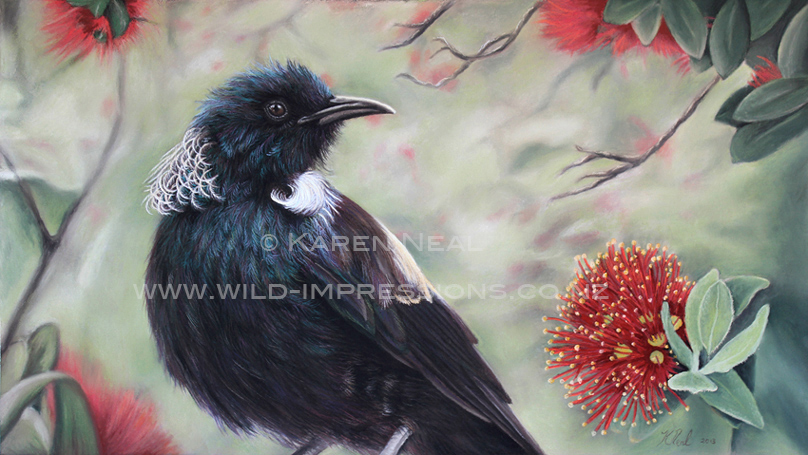 Tui and pohutukawa pastel painting Tui bird painting by New Zealand wildlife artist Karen Neal