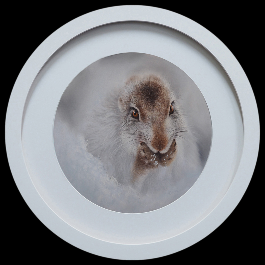 snowy mountain hare painting