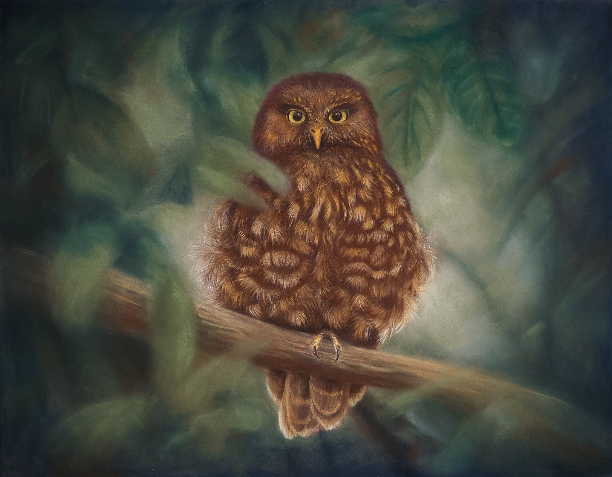 Pastel Ruru Morepork pastel painting by New Zealand artist Karen Rankin