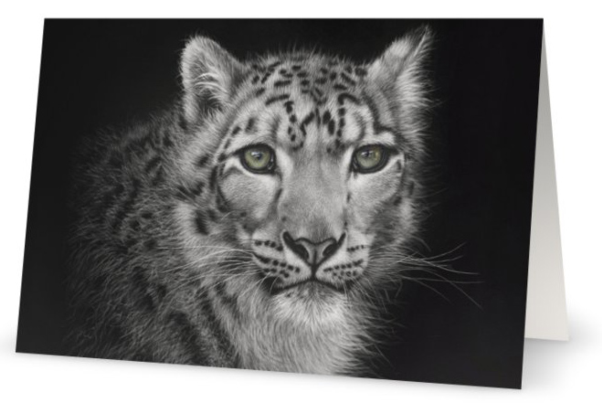 Himalayan Snow Leopard as a fine art card by wildlife artist Karen Neal