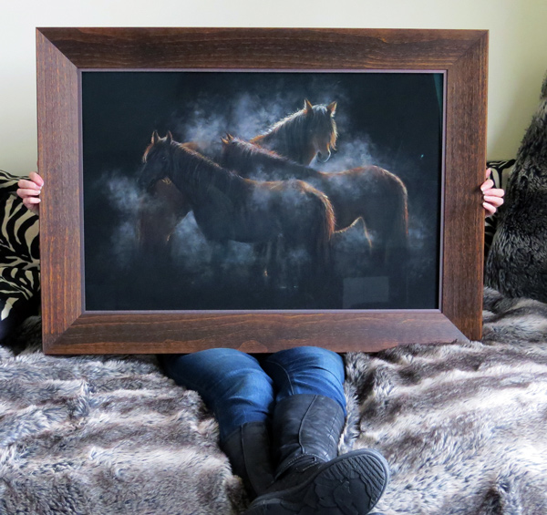 Kaimanawa horse painting framed Kaimanawa horse painting framed