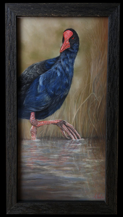 Pukeko painting "Strut that Swamp" Pukeko pastel painting by New Zealand wildlife artist Karen Neal