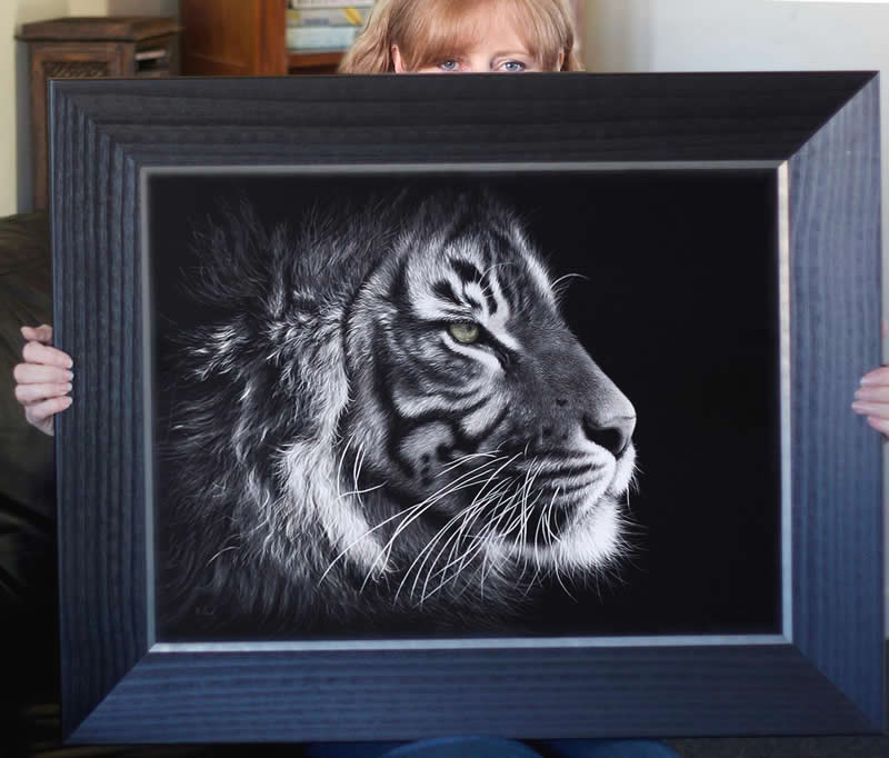 Sumatran tiger scratchboard artwork Sumatran tiger scratchboard artwork framed shown with the artist
