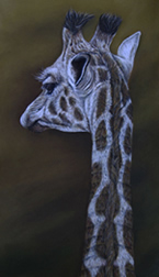 Rapaura School Art Auction artwork donated by wildlife artist Karen Neal
